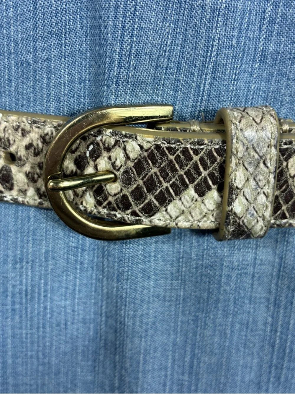 Talbots women’s belt Sz S Leather snake print